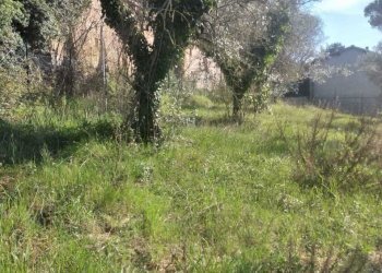 IMG-20230328-WA0053.jpg - Terreno edificabile località san biagio, Cantalupo in Sabina - foto 8