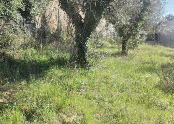 IMG-20230328-WA0058.jpg - Terreno edificabile località san biagio, Cantalupo in Sabina - foto 10