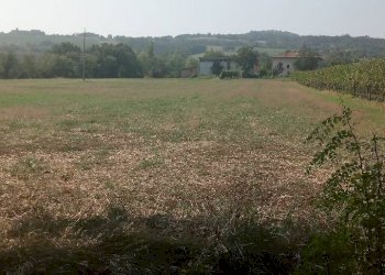 Terreno agricolo Albinea - foto 1