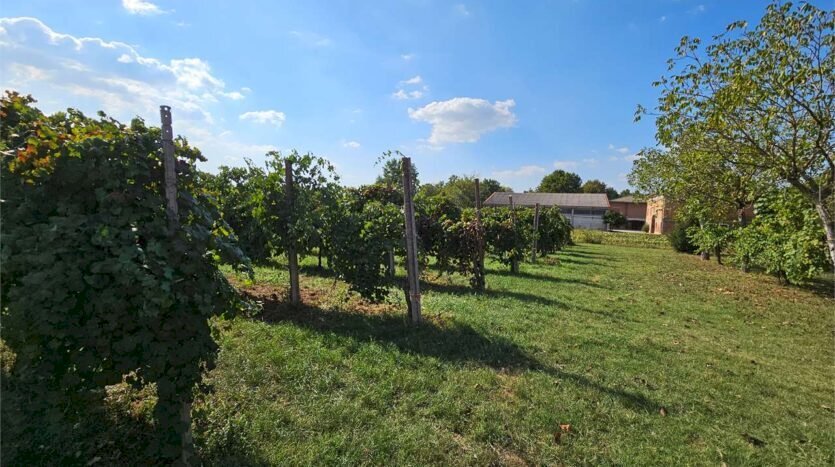 Farm Soliera - photo 1