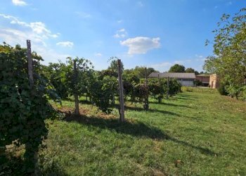 Farm Soliera - photo 1
