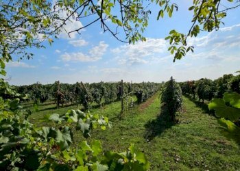 Farm Soliera - photo 2