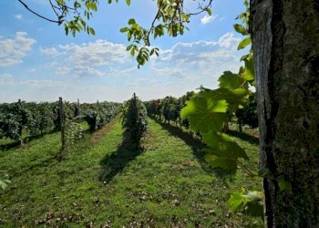 Farm Soliera - photo 4