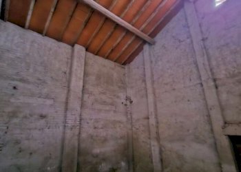 Farm Soliera - photo 23