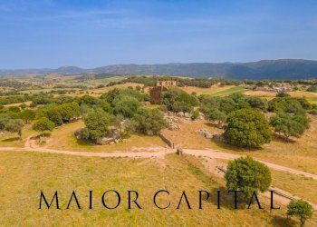 Terreno agricolo Località Cuccuros, Oschiri - foto 2