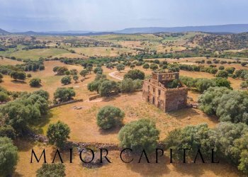 Terreno agricolo Località Cuccuros, Oschiri - foto 3