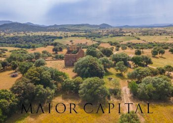 Terreno agricolo Località Cuccuros, Oschiri - foto 4