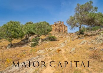 Terreno agricolo Località Cuccuros, Oschiri - foto 5