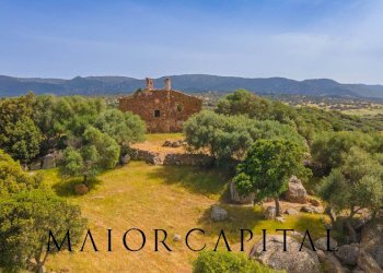 Terreno agricolo Località Cuccuros, Oschiri - foto 6