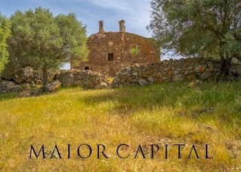 Terreno agricolo Località Cuccuros, Oschiri - foto 7