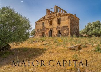 Terreno agricolo Località Cuccuros, Oschiri - foto 8