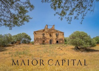 Terreno agricolo Località Cuccuros, Oschiri - foto 9