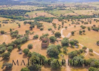 Terreno agricolo Località Cuccuros, Oschiri - foto 10