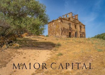 Terreno agricolo Località Cuccuros, Oschiri - foto 11