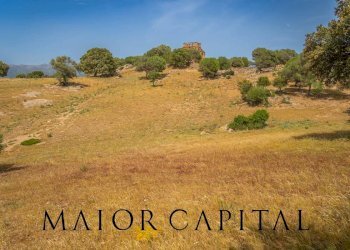 Terreno agricolo Località Cuccuros, Oschiri - foto 12