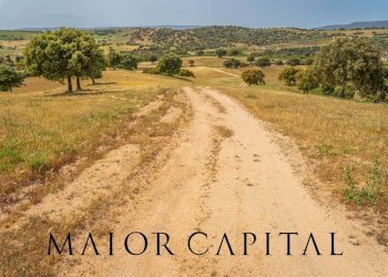 Terreno agricolo Località Cuccuros, Oschiri - foto 13