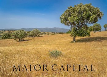 Terreno agricolo Località Cuccuros, Oschiri - foto 14