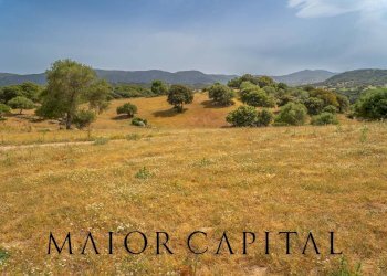 Terreno agricolo Località Cuccuros, Oschiri - foto 15