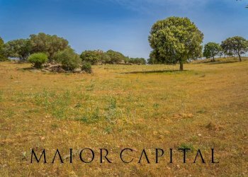 Terreno agricolo Località Cuccuros, Oschiri - foto 16