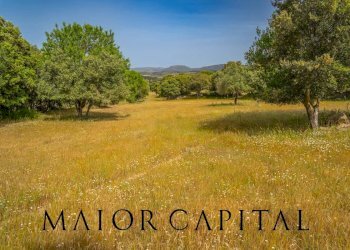 Terreno agricolo Località Cuccuros, Oschiri - foto 17