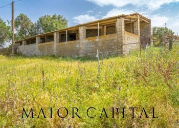 Terreno agricolo Località Cuccuros, Oschiri - foto 18