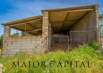 Terreno agricolo Località Cuccuros, Oschiri - foto 19