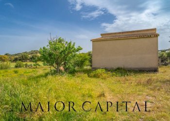 Terreno agricolo Località Cuccuros, Oschiri - foto 21