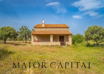 Terreno agricolo Località Cuccuros, Oschiri - foto 23