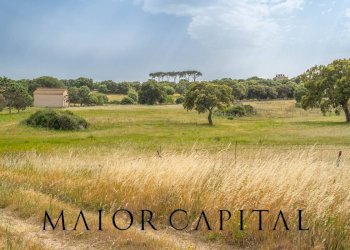 Terreno agricolo Località Cuccuros, Oschiri - foto 24