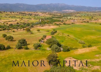 Terreno agricolo Località Cuccuros, Oschiri - foto 29