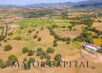 Terreno agricolo Località Cuccuros, Oschiri - foto 30