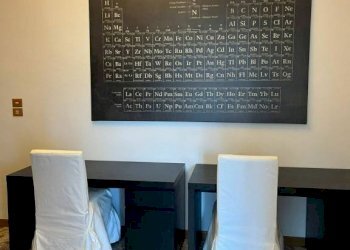 14 - Non-buildable land via degli Zabarella, 81, Padova - photo 14