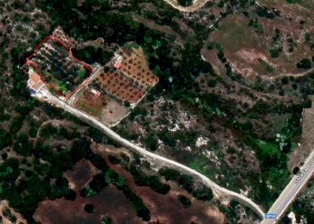 terreno con noceto - Terreno agricolo Strada Provinciale 14 5, Noto - foto 11