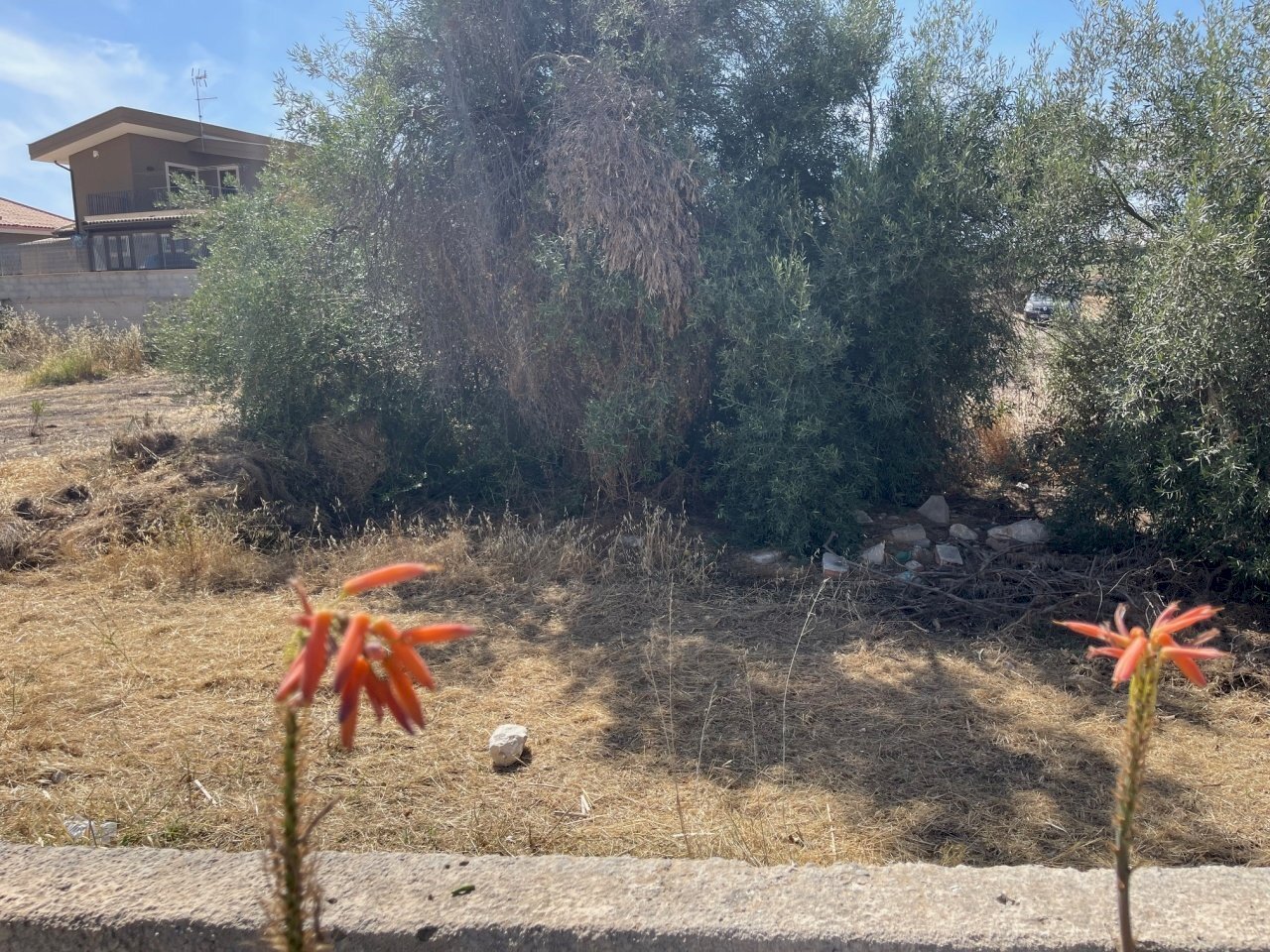 IMG_2697.jpg - Terreno edificabile Via Mattarella Pier Santi, Pozzallo - foto 3