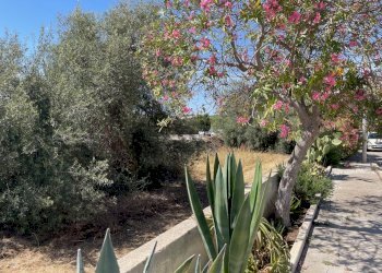 IMG_2695.jpg - Terreno edificabile Via Mattarella Pier Santi, Pozzallo - foto 1