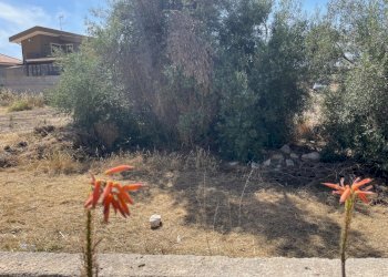 IMG_2697.jpg - Terreno edificabile Via Mattarella Pier Santi, Pozzallo - foto 3