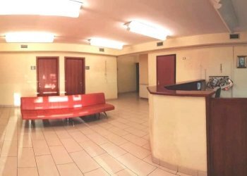 WhatsApp Image 2024-05-31 at 12.34.25 (2).jpeg - Locale Commerciale Via delle Piagge, Tivoli - foto 3