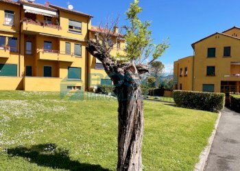 bis (2).jpg - Appartamento Via Nuova Sant'Andrea 16, La Spezia - foto 19