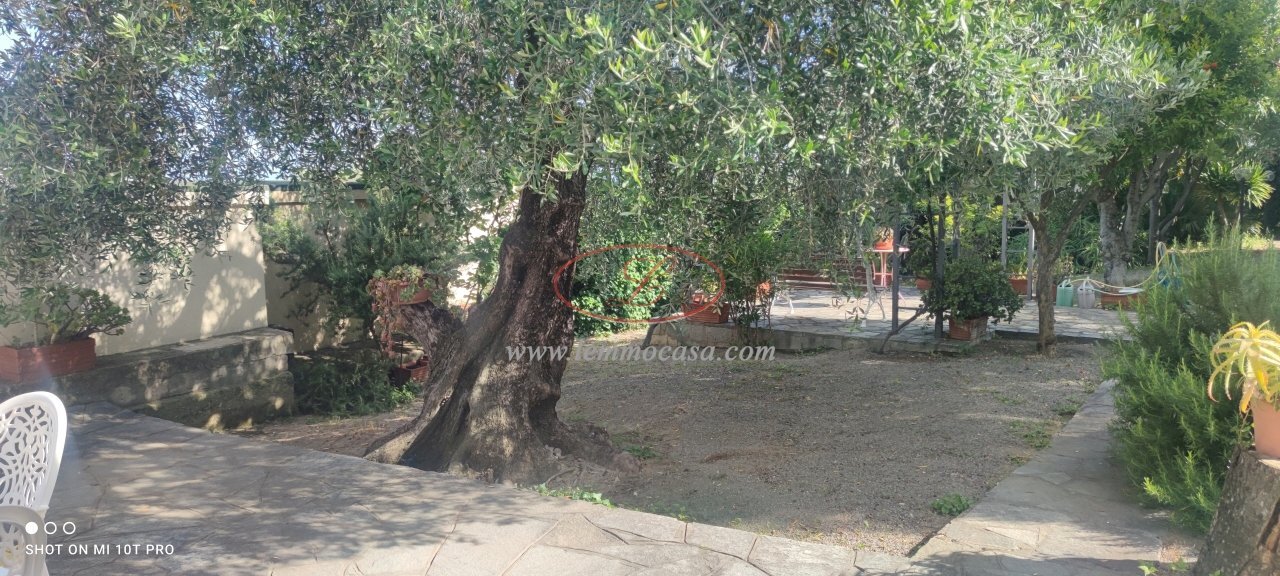 giardino - Villa Via Privata del Poggio  39, Cervo - photo 2