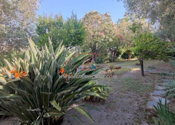 Villa Via Privata del Poggio  39, Cervo - foto 4