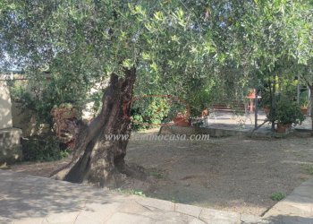 Villa Via Privata del Poggio  39, Cervo - foto 23