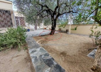 giardino della villa piantumato - Villa Via Privata del Poggio  39, Cervo - photo 21