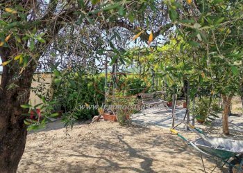 Villa Via Privata del Poggio  39, Cervo - photo 24