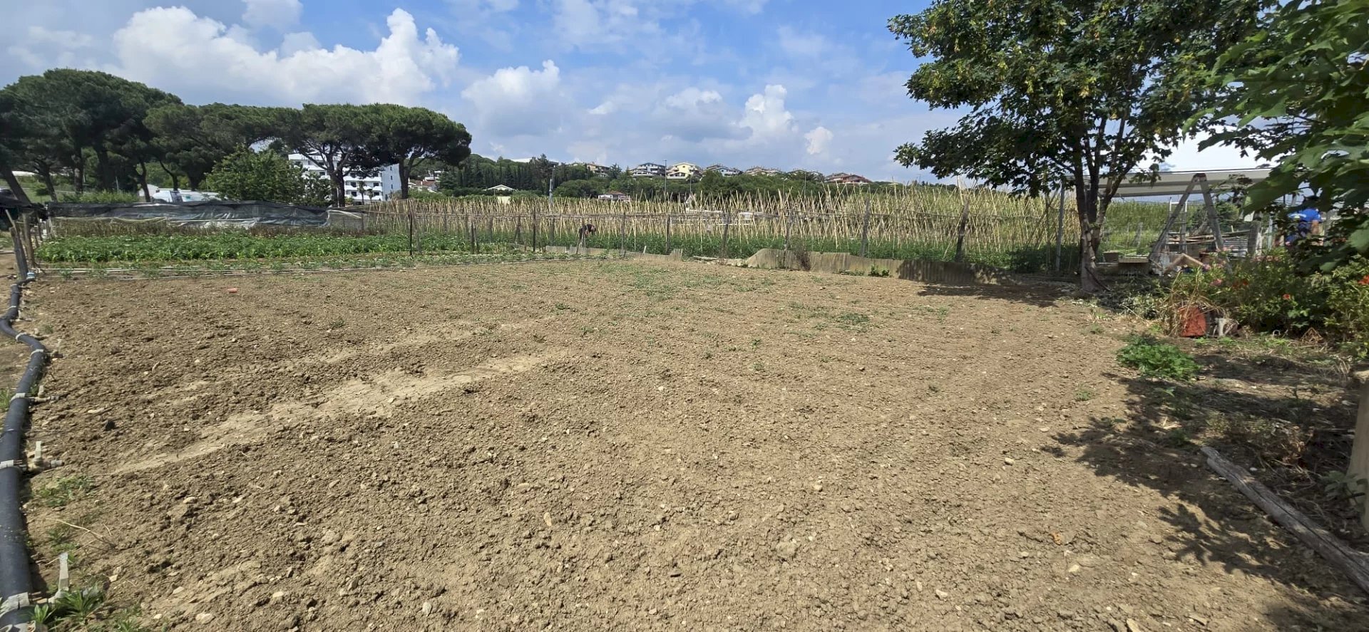 Terreno agricolo VIA BERLINGUER, Città Sant'Angelo - foto 1