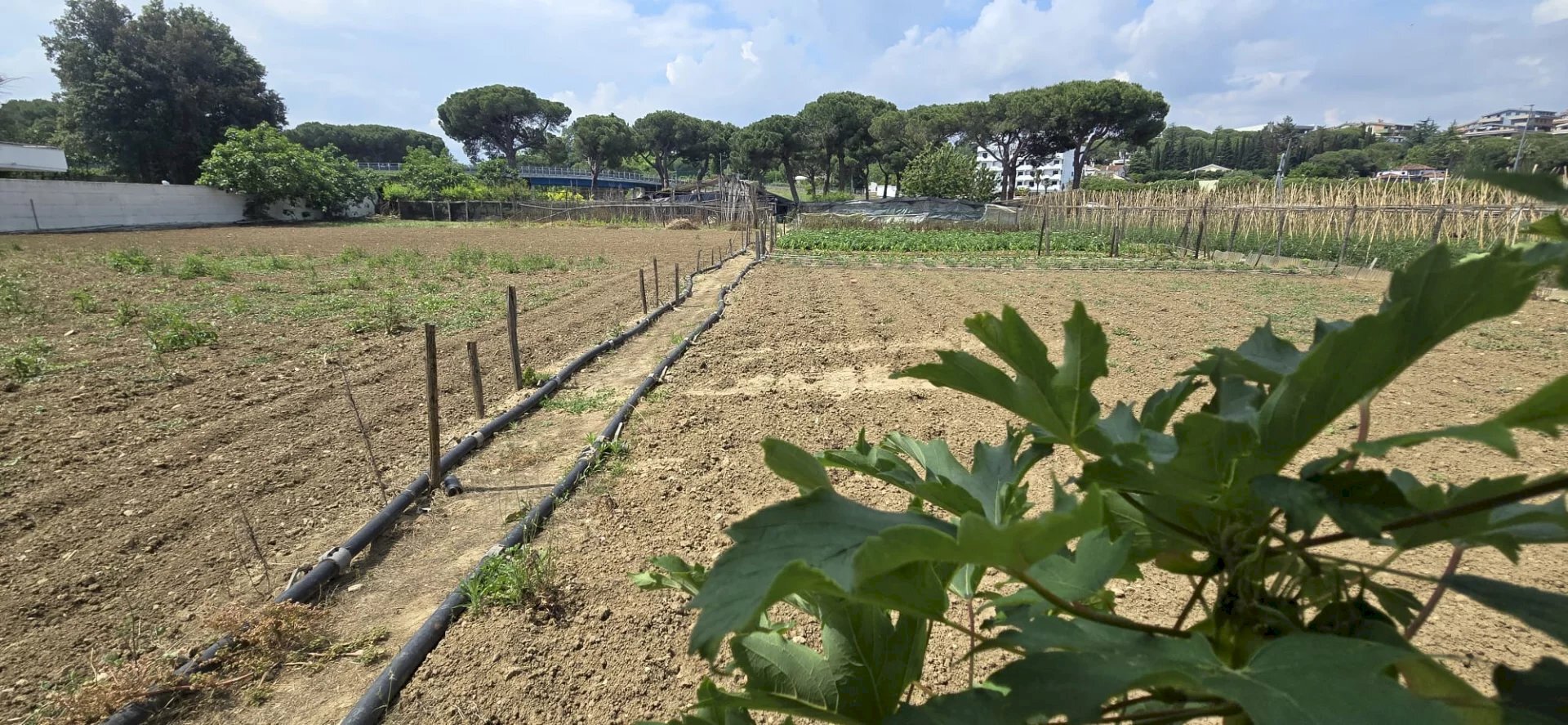 Terreno agricolo VIA BERLINGUER, Città Sant'Angelo - foto 2