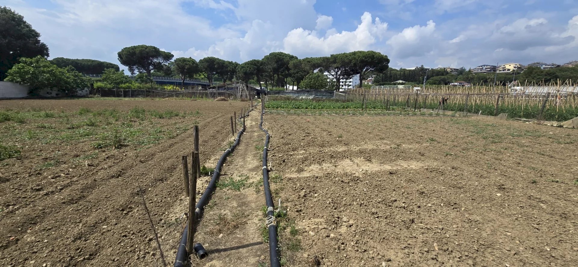 Terreno agricolo VIA BERLINGUER, Città Sant'Angelo - foto 3