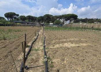 Terreno agricolo VIA BERLINGUER, Città Sant'Angelo - foto 3