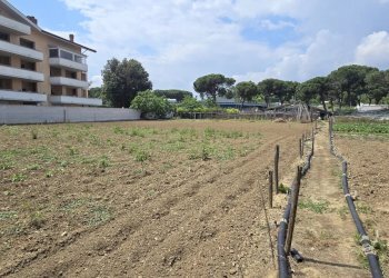 Terreno agricolo VIA BERLINGUER, Città Sant'Angelo - foto 5