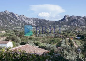 PANORAMA - Villa Strada Su Donnigheddu, Golfo Aranci - foto 29