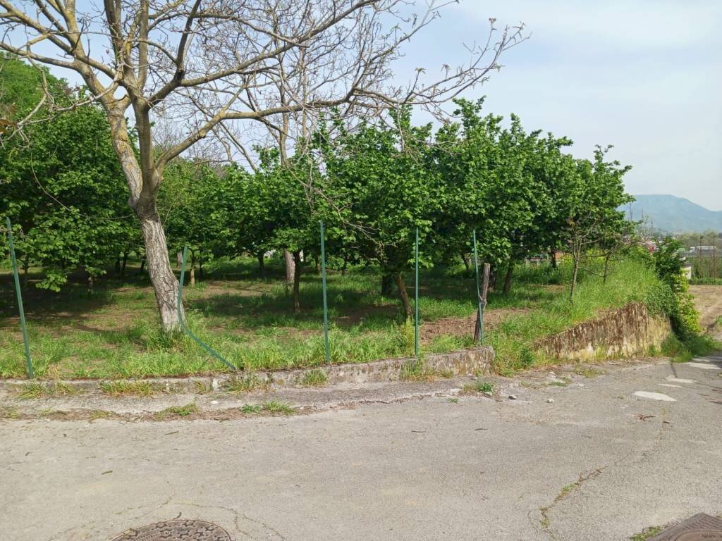 Terreno agricolo via Corticelle, Mercato San Severino - foto 1